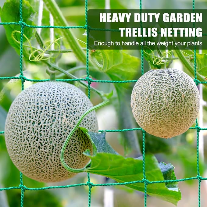 Trellis Netting, Garden Trellis Netting - Image 5