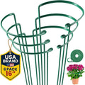Tall Plant Support Stakes for Indoor and Outdoor by K-BRANDS