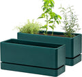 D'vine Dev 12 Inch Window Box Planter, Rectangle Plastic Herb Planter by DvineDevPlanterPotsandStand