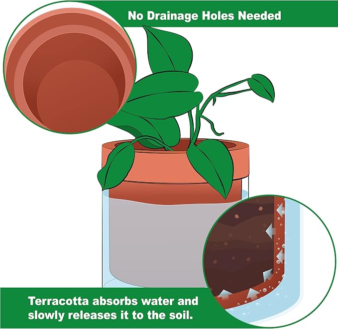 Phoenix Vine 4 Inch 6 Inch Self Watering Planter Pots, Terracotta Clay Pots - Image 4