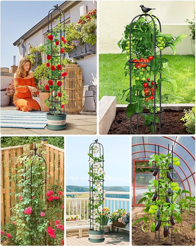 6.2ft Garden Obelisk Trellis for Climbing Plants Rustproof Metal Pipe - Image 7