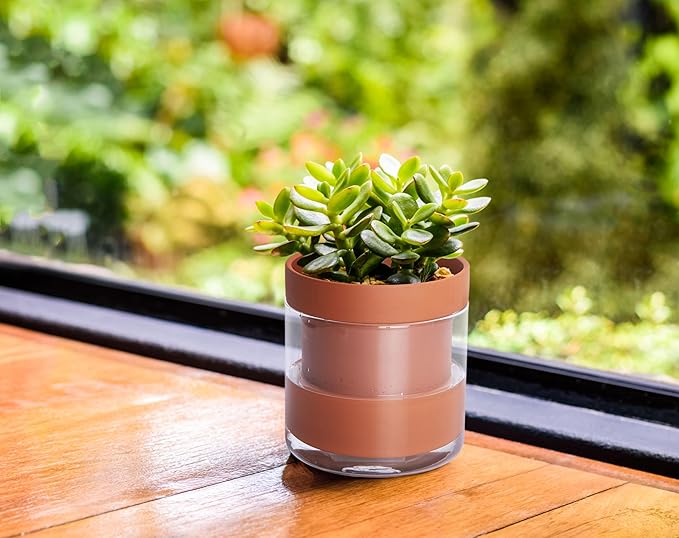 Phoenix Vine 4 Inch Self Watering Planter Pot, Terracotta Clay Pot - Image 5