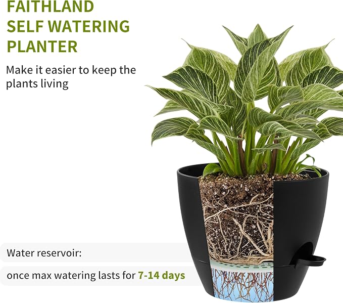 FaithLand 3-Pack Large Planter Pots, 12 10 9 Inch Self Watering Flower Pots - Image 4