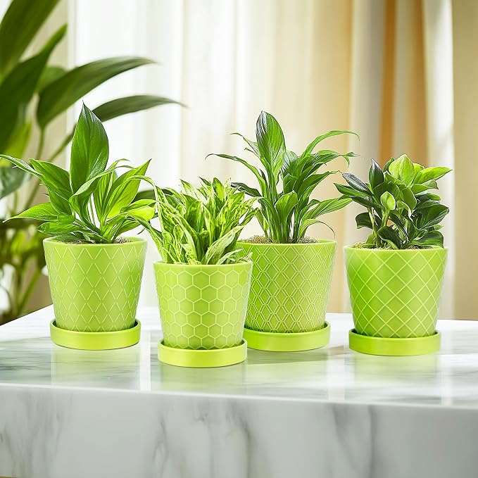 EFISPSS 5 Inch Ceramic Plant Pots Indoor, Planters - Image 6