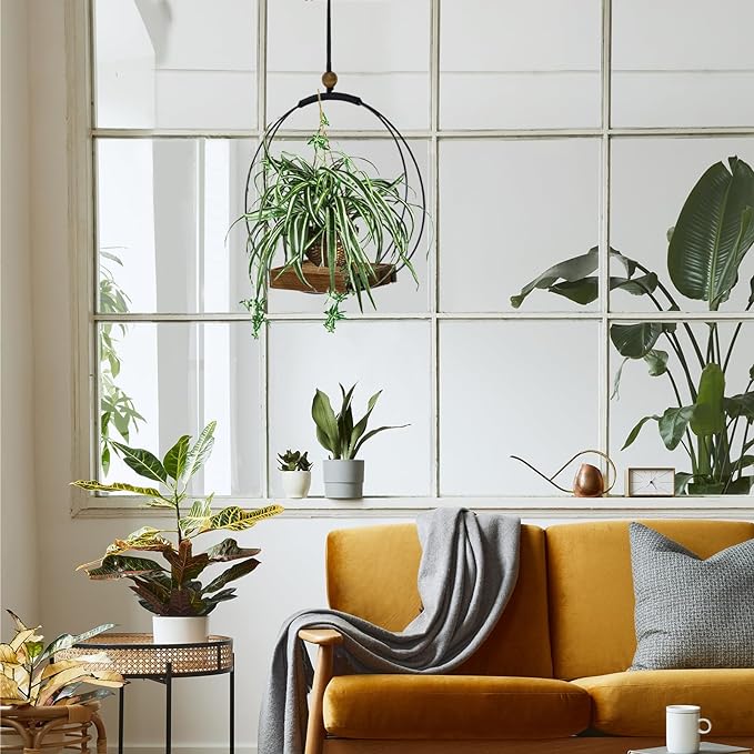 Hanging Planter for Indoor Plants - Image 5