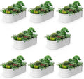 A ANLEOLIFE 8-Set 8X4X2 ft Galvanized Raised Garden Bed Kit, Oval Metal Deep by AAnleolife