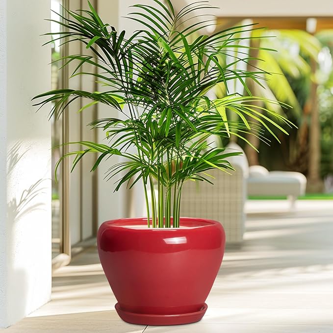 Ceramic Planter for Indoor Plants 8 Inch - Image 4