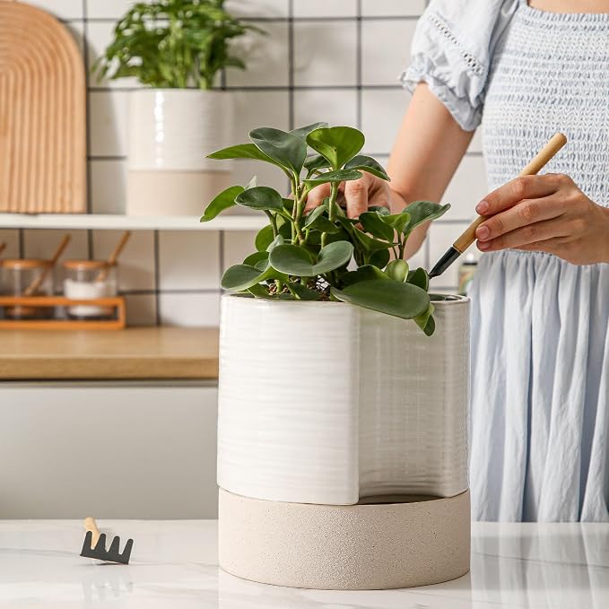 Nihow Self Watering Plant Pot: 8 Inch Ceramic Planter - Image 5