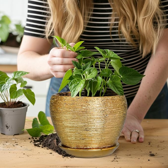 Indoor Plant Pot 6 Inch - Image 5