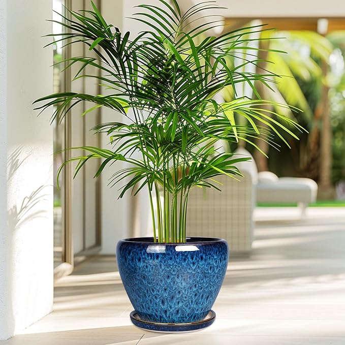 8 Inch Ceramic Plant Pot, Ceramic Planter Pot - Image 7