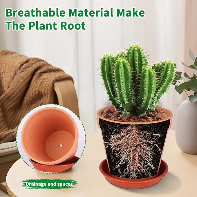 6 Pack 6 Inch Terracotta & Clay Pots - Image 4