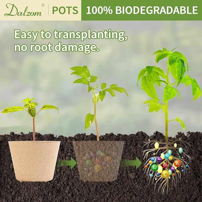 Dalzom® 60Pcs 4” Peat Pots - Image 5