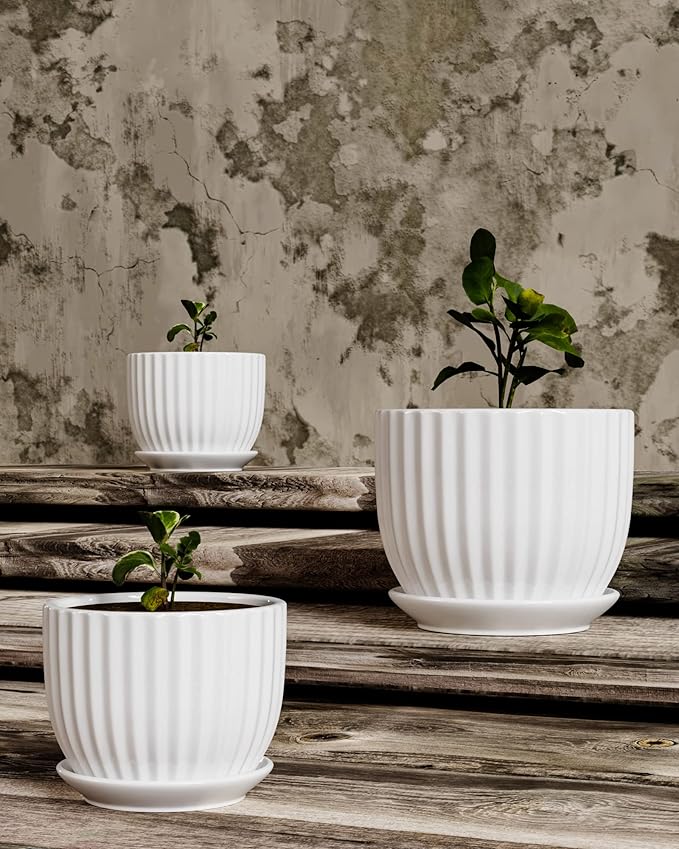 Ton Sin White Plant Pots Set of 3, Indoor Ceramic Flower Pot - Image 4