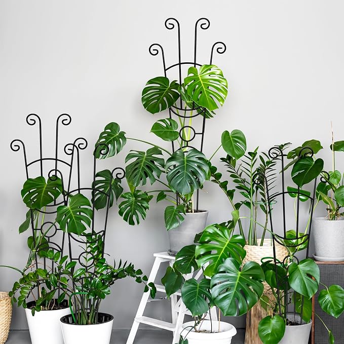 32.6in Monstera Plant Support Stakes - Image 8