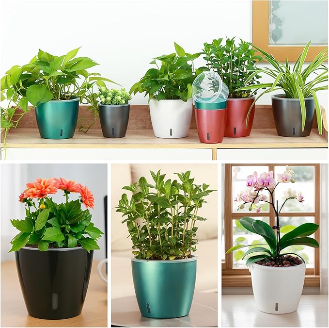 Self-Watering Pots for Indoor Plants, Small African Violet Pots - Image 6
