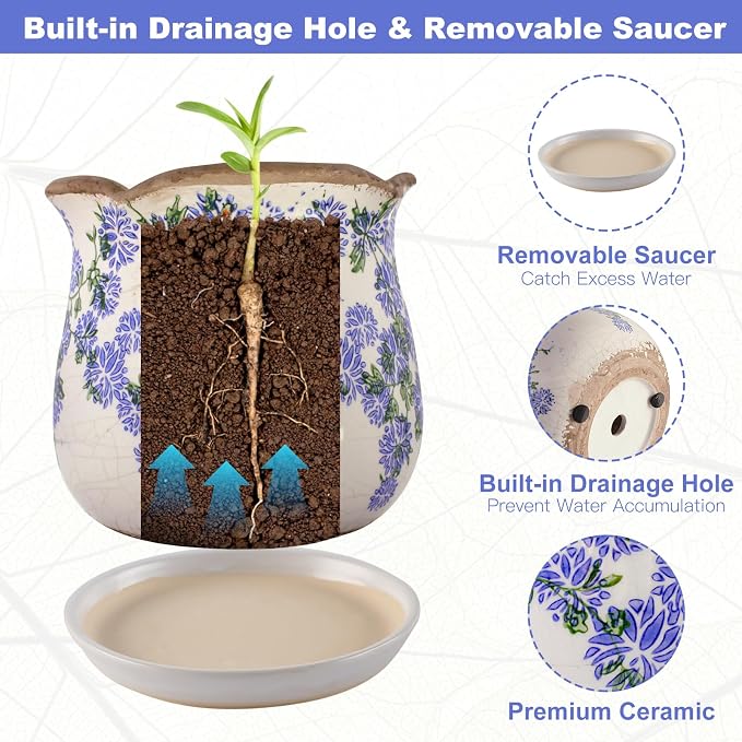 Ceramic-Planters-for-Indoor-Plants - Image 5