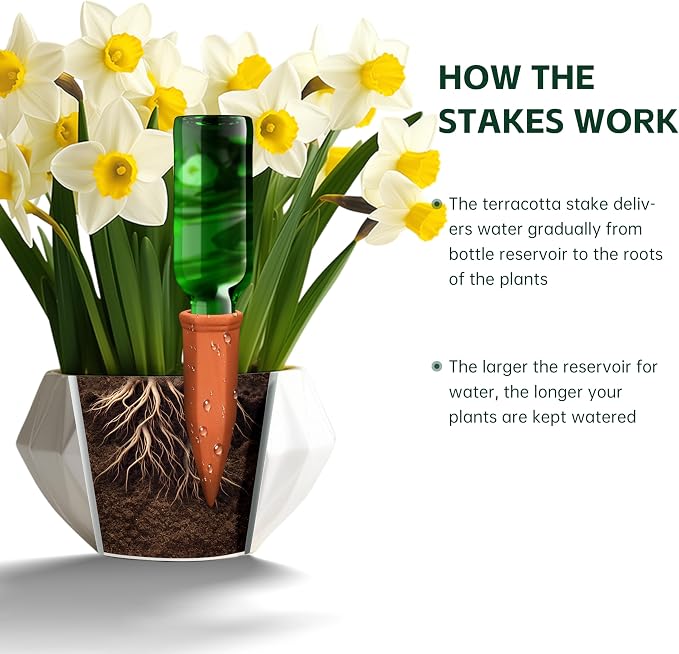 Large Terracotta Watering Spikes - Image 3