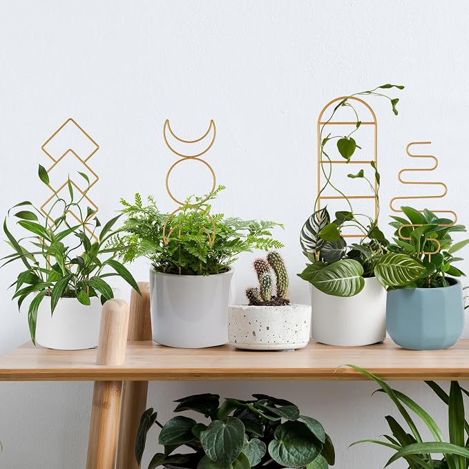 Indoor Plant Trellis for Potted Plants, 16inch Gold Small Trellis for Climbing - Image 7