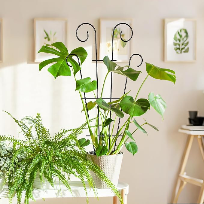 4 Pack 23'' Indoor Plant Trellis - Image 8