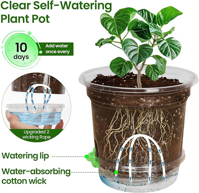 MIXC 12 Packs 6.5 Inch Self Watering Pots - Image 2