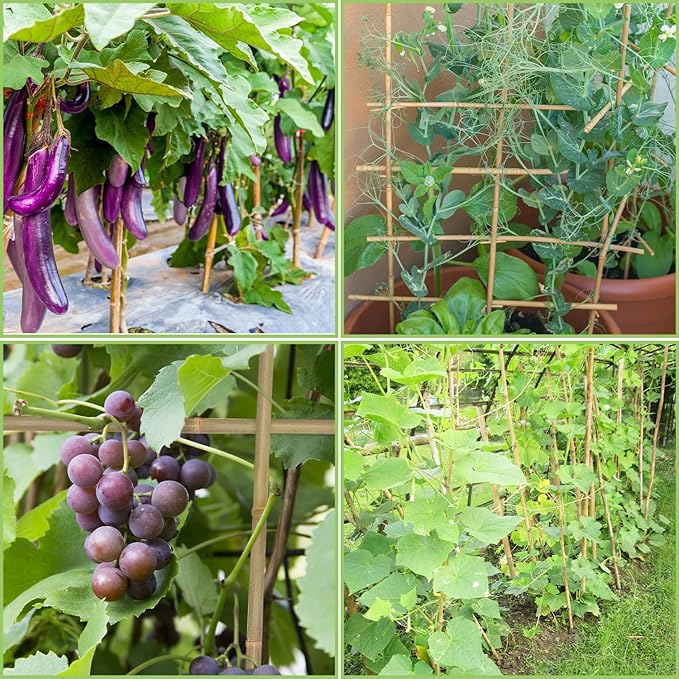 Plant Stakes, 3FT Longer Sturdy Natural Bamboo Garden Stakes, GAGINANG 25Pcs - Image 6