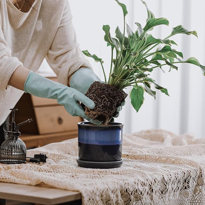 5.8 Inch Plant Pot: Ceramic Planter - Image 7