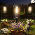 Solar Pathway Lights Outdoor, 2 Pack Bright Solar Lights Outdoor, IP65 by Professionalproductionofsolarlightsoutdoor%EF%BC%9A%EF%BC%89