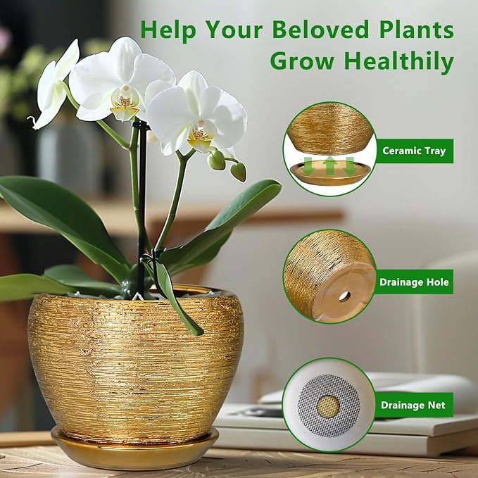 Ceramic Plant Pot 8 Inch - Image 6