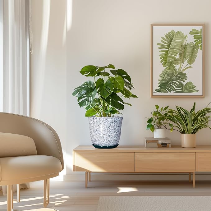 Ceramic Pots for Plants - Image 7