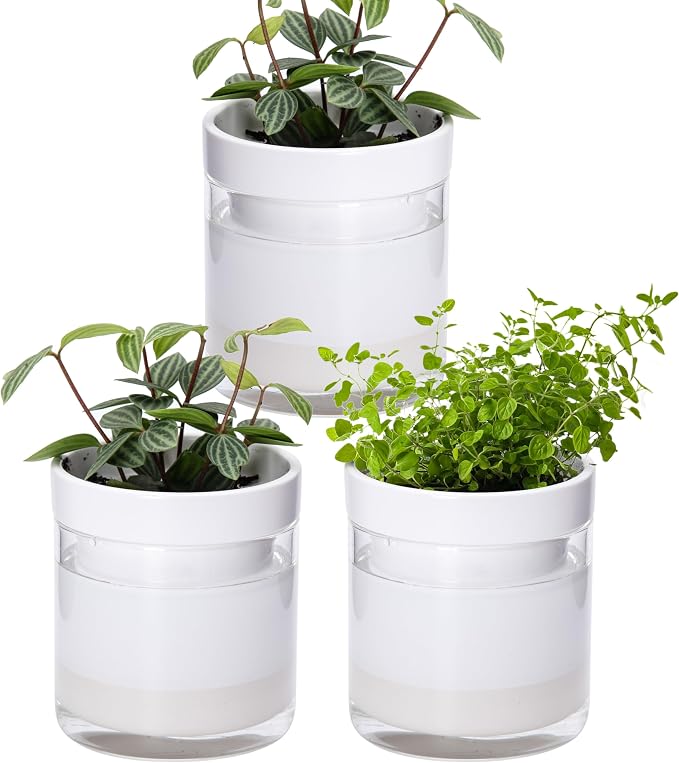 Phoenix Vine 4 Inch Self Watering Planter by Phoenix+Vine