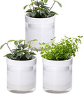 Phoenix Vine 4 Inch Self Watering Planter by Phoenix+Vine