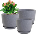 12/10/9 inch Large Plant Pots, 3 Pack Modern Decorative Plastic Planters by WSMKSZ