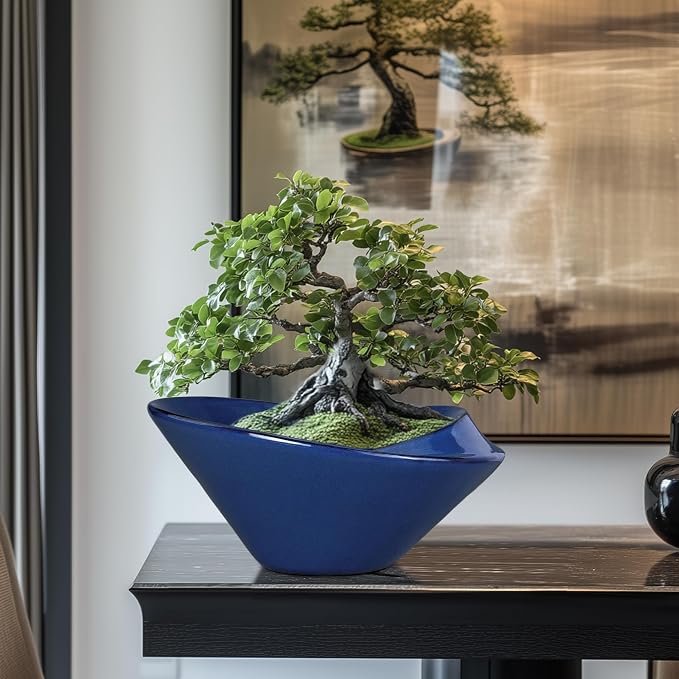 Bonsai Tree Pot 13 Inch - Image 2