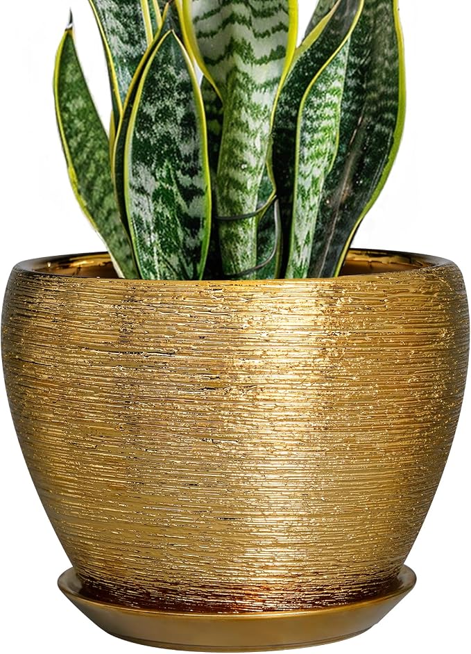 Ceramic Plant Pot 8 Inch by Ceramicfor