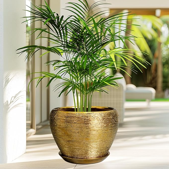 Ceramic Planter 10 Inch - Image 5