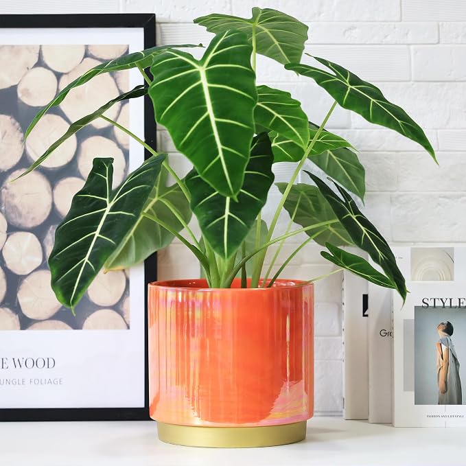 Gepege Peach Indoor Plant Pots for Plants, Large Ceramic Planter - Image 6