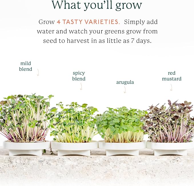 GARDYN Complete Microgreens Growing Kit - Image 4