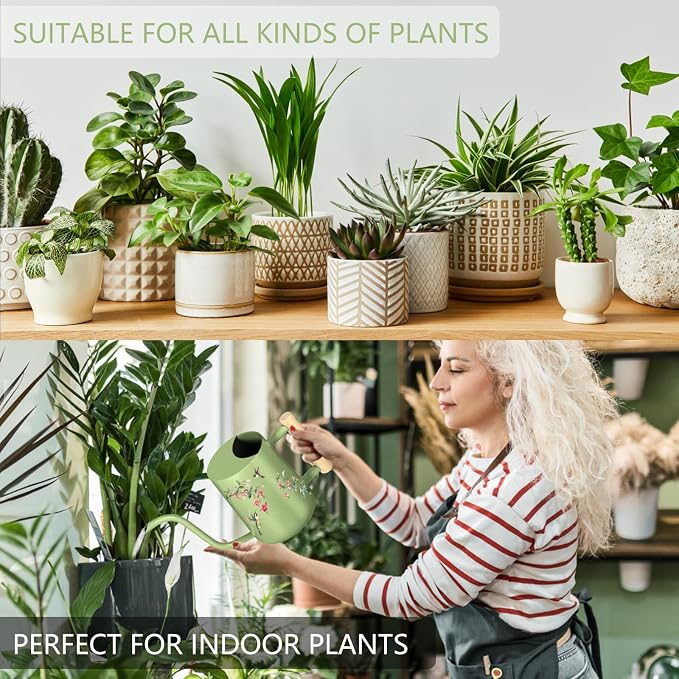 Watering Can Indoor Plants, 35oz Small Stainless Steel Metal Watering Can - Image 5