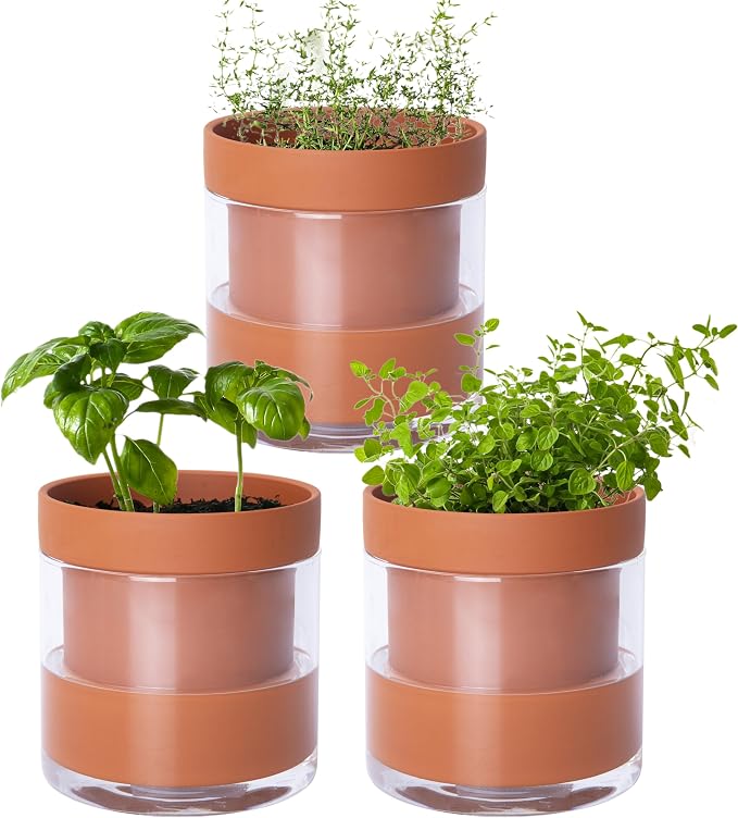 Phoenix Vine 4 Inch Self Watering Planter Pot, Terracotta Clay Pot by Phoenix+Vine
