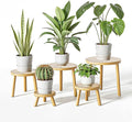 Delma Wood Plant Stands Indoor, Mid-Century Modern Plant Stool, Tall Plant Stand by Delma