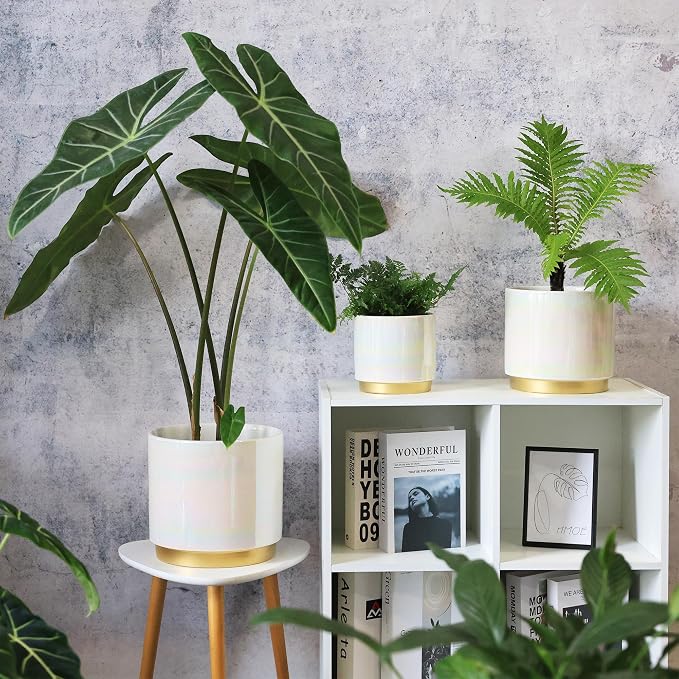 Gepege White Indoor Plant Pots for Plants, Ceramic Planter - Image 6