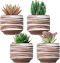 Mini Succulent Planter Set – 3.7 Inch Ceramic Pots by Bestseler