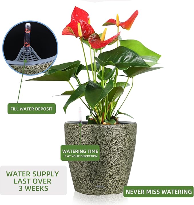 Dexceder 15x14 Self Watering Planter - Image 5