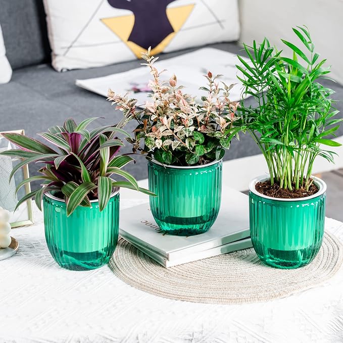 Josteve 4.5 Inch 2 Pcs Self Watering Hanging Planter Indoor Plant Pots Drainage - Image 6