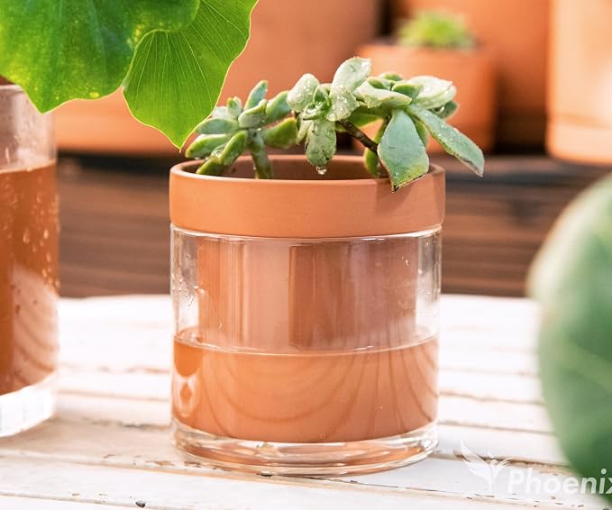 Phoenix Vine 4 Inch Self Watering Planter Pot, Terracotta Clay Pot - Image 7