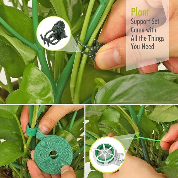 10 Pack Plant Support Stakes for Indoor Plants, 27.56 Inch Twig Plant Sticks - Image 5