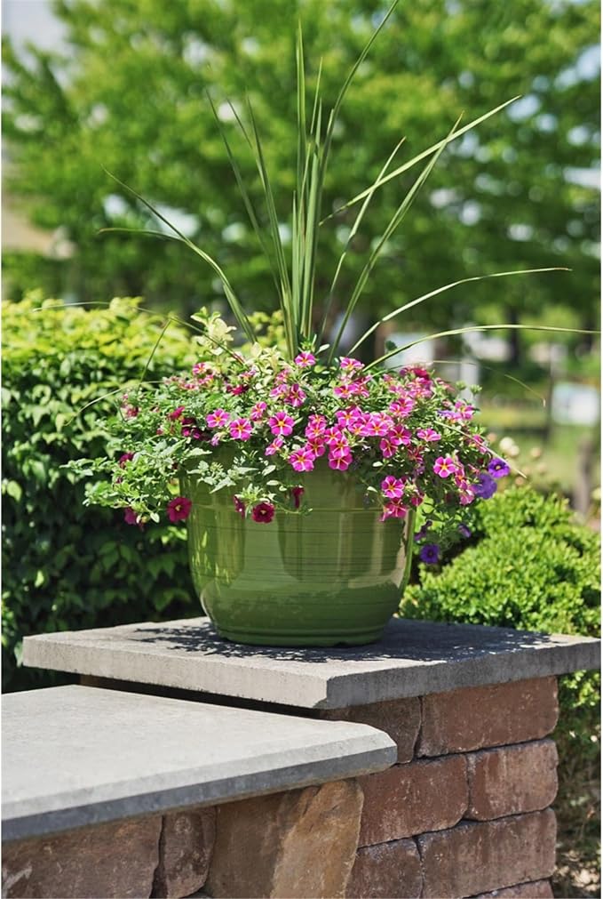 Garden Elements Indoor/Outdoor Glazed Brushed Happy Plastic Planter, Dark Green - Image 5