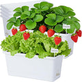 Window Box Planter 6 Packs, 13.8 Inches Rectangle Flower Pots by Oliz