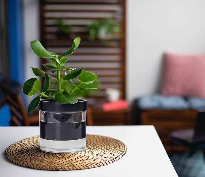 Phoenix Vine 4 Inch Self Watering Planter Pot - Image 4