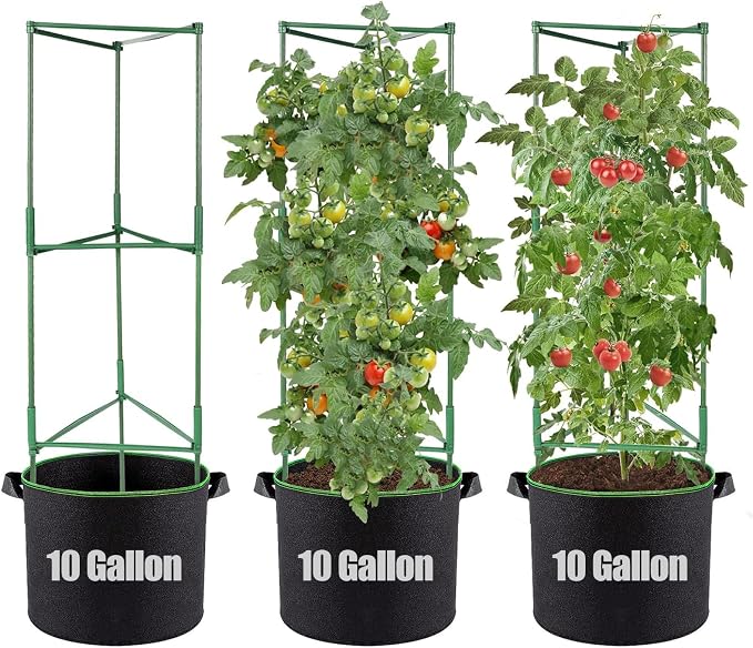 ANPHSIN 3 Sets Tomato Cages by ANPHSIN